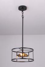  LIT2431BK-GD - 12" 2x60W E26 Pendant in black finish with Gold sockets with chain and loop